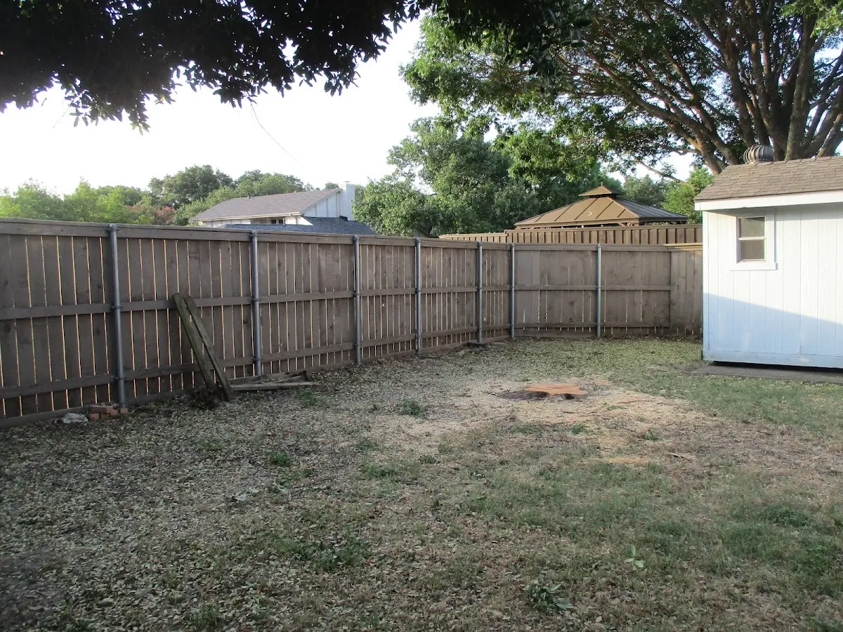 Cleared yard after professional tree removal in Bedford Hills