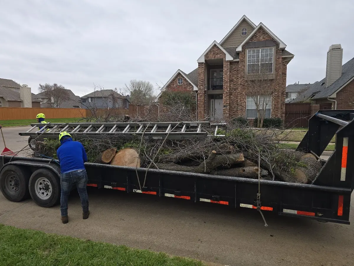 Expert Tree Removal with proper safety equipment in Bedford Hills